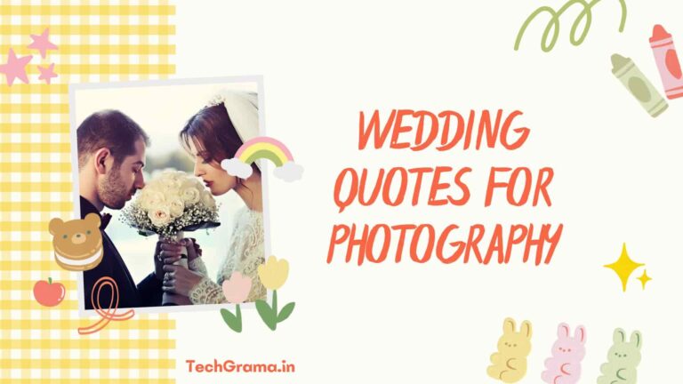 【210+】 Best Wedding Photography Quotes And Captions – TechGrama