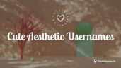 390+ New Best Aesthetic Usernames Ideas In (2024) – TechGrama